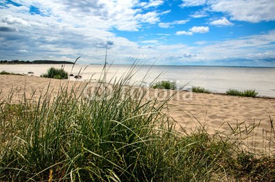 doris oberfrank-list, Rügen: Dünengras an Ostseeküste :) (rügen, time out, gras, meditation, stranden, strandurlaub, brandung, sanddünen, sanddünen, urlaub, meer, sand, sand, küste, wellenbrecher, strom, himmel, blau, wolken, nordsee, ostsee, mittelmeer, postkarte, sommer, urlaub, vogel, wasser, well)