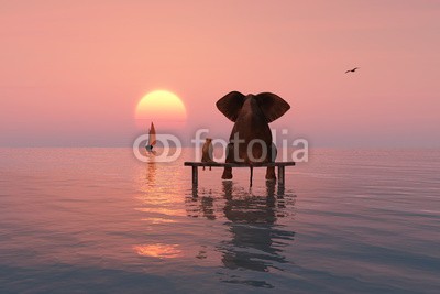 Photobank, elephant and dog sitting in the middle of the sea (hund, elefant, meer, reisen, strand, urlaub, bench, sonnenuntergänge, freundinnen, romantisch, resort, paar, urlaub, freudig, konzept, backgrounds, liebe, sunrise, gelassenheit, freiheit, erfolg, life, wasser, welle, sonne, yacht, sailing, schiff, reis)