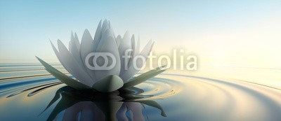 psdesign1, Lotusblüte im See (lotus, lotus, wasser, zen, meditation, stille, feng shui, ozean, wellness, see, think, beschaulichkeit, kreativität, sonnenuntergänge, abend, geist, entspannung, himmel, sonne, friede, welle, tiefe, blau, besinnung, energie, energie, wohlbefinde)