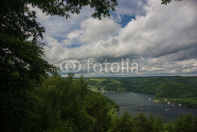 dina, Rurtalsperre im Nationalpark Eifel (deutsch, eifel, landschaft, natur, nordrhein-westfalen, see, talsperre, wald, wasser, wildnis, grü)