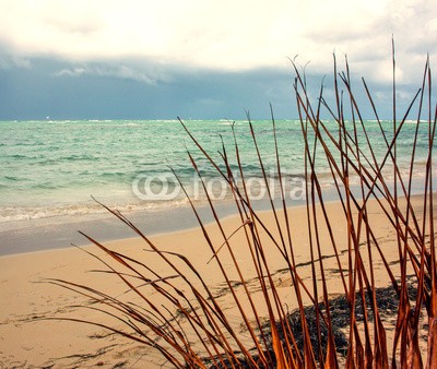 doris oberfrank-list, Dünengras im Morgenlicht :) (time out, gras, badewannen, stranden, strandurlaub, brandung, sanddünen, sanddünen, urlaub, meer, sand, sand, küste, wellenbrecher, strom, himmel, blau, wolken, nordsee, ostsee, mittelmeer, postkarte, sommer, urlaub, vogel, wasser, welle, landschaf)