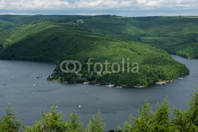 dina, Rurtalsperre im Nationalpark Eifel (deutsch, eifel, landschaft, natur, nordrhein-westfalen, see, talsperre, wald, wasser, wildnis, grü)