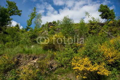 dina, Perlebachtalsperre bei Monschau, Eifel (eifel, landschaft, natur, nordrhein-westfalen, see, reservoir, talsperre, trinkwasser, wasse)