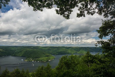 dina, Rurtalsperre im Nationalpark Eifel (deutsch, eifel, landschaft, natur, nordrhein-westfalen, see, talsperre, wald, wasser, wildnis, grü)