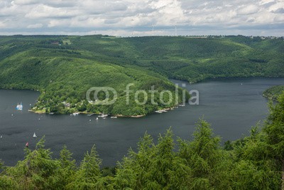 dina, Rurtalsperre im Nationalpark Eifel (eifel, deutsch, landschaft, natur, nordrhein-westfalen, see, talsperre, wald, wasser, wildnis, grü)