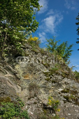 dina, Perlebachtalsperre bei Monschau, Eifel (eifel, landschaft, natur, nordrhein-westfalen, see, reservoir, talsperre, trinkwasser, wasse)