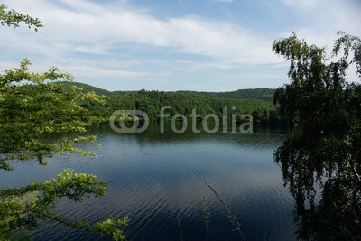 dina, An der Urfttalsperre, Nationalpark Eifel (deutsch, eifel, landschaft, natur, naturschutzgebiet, nordrhein-westfalen, see, talsperre, wald, wasse)