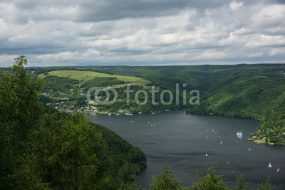 dina, Rurtalsperre im Nationalpark Eifel (deutsch, eifel, landschaft, natur, nordrhein-westfalen, see, talsperre, wald, wasser, wildnis, grü)