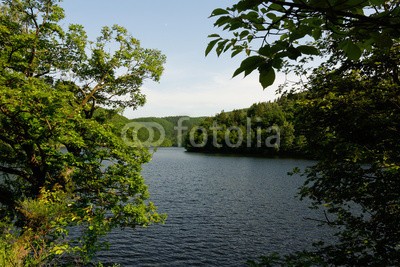 dina, An der Urfttalsperre, Nationalpark Eifel (eifel, nordrhein-westfalen, deutsch, landschaft, natur, naturschutzgebiet, see, talsperre, wald, wasse)