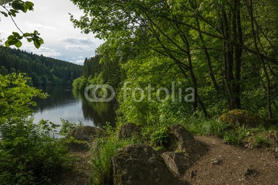 dina, Perlebachtalsperre bei Monschau, Eifel (eifel, nordrhein-westfalen, landschaft, natur, see, reservoir, talsperre, trinkwasser, wasse)