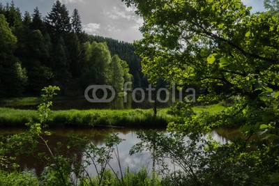 dina, Perlebachtalsperre bei Monschau, Eifel (eifel, landschaft, natur, nordrhein-westfalen, see, reservoir, talsperre, trinkwasser, wasse)