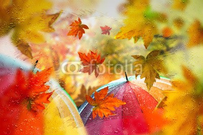 Stefan Körber, Herbst (schirm, laub, regen, rieseln, bunt, blatt, wind, sturm, fenster, wasser, wald, park, herbst, schirm, wetter, klima, october, lächelnd, gold, jahreszeit, backgrounds, nebel, dunst, seil, kondenswasser, herbstlaub, verwischen, glas, regenschirm, regenschir)