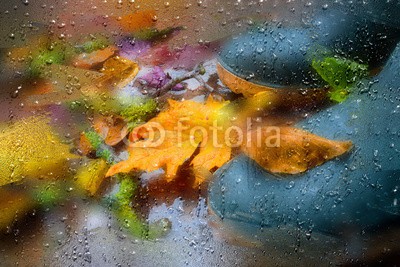 Stefan Körber, Herbst (regen, herbst, starten, rieseln, nass, nass, laub, blatt, herbstlaub, romantisch, romantisch, gummistiefel, fenster, glas, dunst, holz, plank, jahreszeit, wetter, klima, wasser, regentropfen, kalt, october, november, soil, ast, ast, kalt, hiking, gripp)