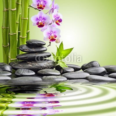 Pavel Timofeev, zen stones (blume, orchid, steine, spa, zen, symbol, balance, alternative, stabilität, pflege, massage, schwarz, treatment, schönheit, haufen, kieselstein, steine, fels, konzept, reihe, details, gesund, handvoll, asiatisch, geroell, therapie, close-up, hintergrun)