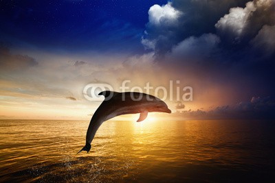 Ig0rZh, Dolphin jumping (delphine, glühend, horizont, springen, ozean, meer, wild, tier, wolken, dunkel, morgengrauen, abenddämmerung, abend, schwimmflossen, glühen, schlau, sprung, springen, licht, marin, einträchtig, himmel, sonne, sonnenuntergänge, beruhigt, twiligh)