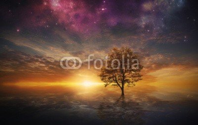 kevron2001, Surreal tree in lake (raum, nacht, himmel, traum, fantasy, universum, kosmos, baum, see, rivers, wasser, kräuseln, sunrise, sonnenuntergänge, ozean, hell, dunkel, stern, nebel, milchstraße, fernrohr, allein, surrea)