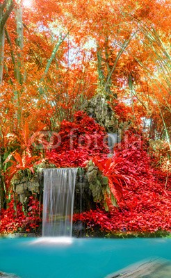 casanowe, Wonderful Waterfall and red leaf in Deep forest at National Park (wasserfall, wunderbar, wonder, landschaft, rot, bláa lónið, lebendig, wald, rivers, wasser, ahorn, backgrounds, wild, park, fels, strömen, kühl, nass, baum, laubwerk, tropisch, grün, frühling, flüssig, konserven, leaf, szenerie, sauber, paradis)