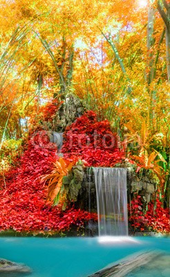 casanowe, Wonderful Waterfall and red leaf in Deep forest at National Park (wasserfall, wunderbar, wonder, landschaft, rot, bláa lónið, lebendig, wald, rivers, wasser, ahorn, backgrounds, wild, park, fels, strömen, kühl, nass, baum, laubwerk, tropisch, grün, frühling, flüssig, konserven, leaf, szenerie, sauber, paradis)