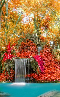 casanowe, Wonderful Waterfall and red leaf in Deep forest at National Park (wasserfall, wunderbar, wonder, landschaft, rot, bláa lónið, lebendig, wald, rivers, wasser, ahorn, backgrounds, wild, park, fels, strömen, kühl, nass, baum, laubwerk, tropisch, grün, frühling, flüssig, konserven, leaf, szenerie, sauber, paradis)