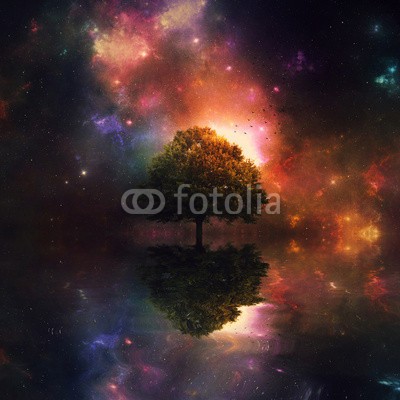 kevron2001, Night sky and tree (baum, pflanze, wasser, meer, ozean, nacht, himmel, stern, nebel, galaxies, universum, kosmos, fernrohr, natur, bunt, licht, hell, dunkel, kräuseln, welle, sonn)