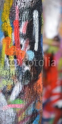 celeste clochard, graffiti (graffiti, malen, gischt, abstrakt, wand, street art, rue, schweiz, zürich, getto, textur, schablone, bunt, kreativität, list, spraydose, farb, hauptstädtisch, malen, original, blick, street art, fiktion, ausdruck, pastet)