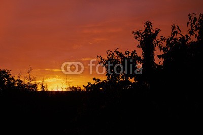 dina, Sonnenuntergang in Mecklenburg (deutsch, landschaft, licht, mecklenburg, mecklenburg-vorpommern, natur, see, sonne, sonnenuntergänge, laub, wasser, wildlife, wildnis, wolke)