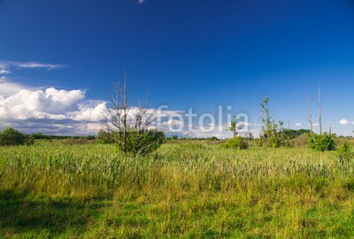 dina, Landschaft  bei Rogeez, Mecklenburg-Vorpommern (landschaft, natur, naturschutzgebiet, wildlife, wildnis, licht, deutsch, laub, mecklenburg-vorpommern, see, mecklenburg, wasser, wolke)