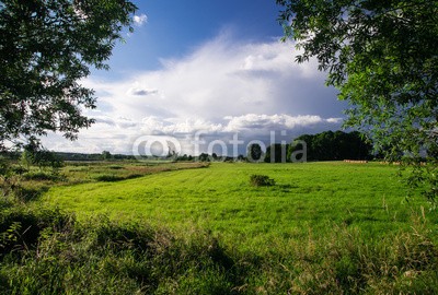 dina, Landschaft  bei Rogeez, Mecklenburg-Vorpommern (landschaft, natur, naturschutzgebiet, wildlife, wildnis, licht, deutsch, laub, mecklenburg-vorpommern, see, mecklenburg, wasser, wolke)