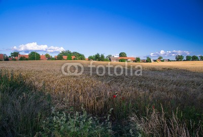 dina, Landschaft  bei Rogeez, Mecklenburg-Vorpommern (landschaft, natur, naturschutzgebiet, wildlife, wildnis, licht, deutsch, laub, mecklenburg-vorpommern, see, mecklenburg, wasser, wolke)