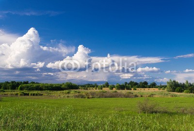 dina, Landschaft  bei Rogeez, Mecklenburg-Vorpommern (landschaft, natur, naturschutzgebiet, wildlife, wildnis, licht, deutsch, laub, mecklenburg-vorpommern, see, mecklenburg, wasser, wolke)