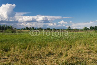 dina, Landschaft  bei Rogeez, Mecklenburg-Vorpommern (landschaft, natur, naturschutzgebiet, wildlife, wildnis, licht, deutsch, laub, mecklenburg-vorpommern, see, mecklenburg, wasser, wolke)