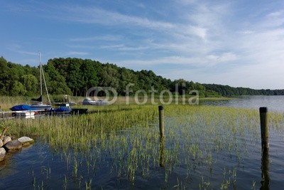 dina, Hafen in Zislow am Plauer See, Mecklenburg-Vorpommern (deutsch, mecklenburg-vorpommern, sommer, segelschiff, schiff, golfer, landschaft, natur, naturschutzgebiet, wald, wasse)