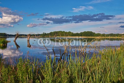 dina, Naturparadies Stuerscher See bei Stuer, Mecklenburg-Vorpommern, (deutsch, landschaft, licht, mecklenburg, mecklenburg-vorpommern, natur, naturschutzgebiet, see, sonne, laub, wasser, wildlife, wildnis, wolke)