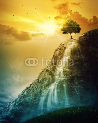 kevron2001, Waterfall tree (berg, natur, landschaft, baum, wasserfall, cascade, feld, himmel, wolken, sunrise, sonnenuntergänge, sonne, morgengrauen, abenddämmerung, ray, licht, balken, surreal, abstrakt, bunt, wasser, wurzel, wanderunge)