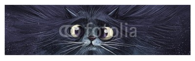 cirodelia, gato en primer plano (katze, maskottchen, katze, tier, säugetier, haare, haarig, gesicht, savage, kindliche, abbildung, zeichnun)