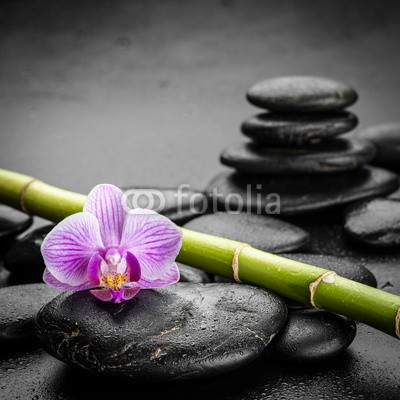 Pavel Timofeev, zen stones (bambus, blume, orchid, steine, spa, zen, symbol, balance, alternative, stabilität, pflege, massage, schwarz, treatment, schönheit, haufen, kieselstein, steine, fels, konzept, reihe, details, gesund, handvoll, asiatisch, geroell, therapie, close-u)