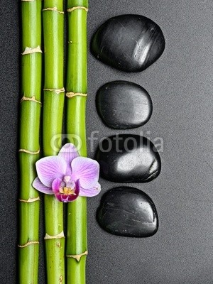 Pavel Timofeev, zen stones (bambus, blume, orchid, steine, spa, zen, symbol, balance, alternative, stabilität, pflege, massage, schwarz, treatment, schönheit, haufen, kieselstein, steine, fels, konzept, reihe, details, gesund, handvoll, asiatisch, geroell, therapie, close-u)