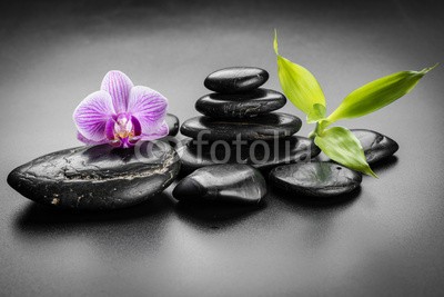 Pavel Timofeev, zen stones (bambus, blume, orchid, steine, spa, zen, symbol, balance, alternative, stabilität, pflege, massage, schwarz, treatment, schönheit, haufen, kieselstein, steine, fels, konzept, reihe, details, gesund, handvoll, asiatisch, geroell, therapie, close-u)