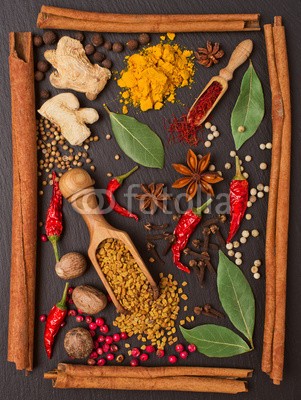 andriigorulko, still life with spices and herbs in the frame (gewürz, kraut, würze, stilleben, rahmen, different, schwarz, zutaten, essen, hell, bunt, zimt, chilies, pfefferkörner, pfeffer, lorbeerblatt, lorbeer, ingwer, anis, stern, bockshornklee, koriander, muskatnuß, gewürznelke, rot, rosa, grün, schleng)