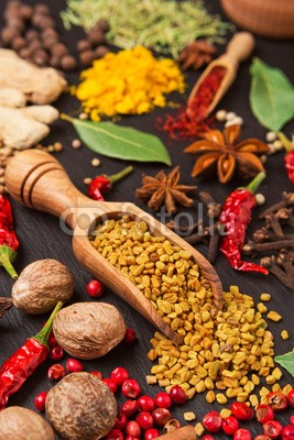 andriigorulko, still life with different spices and herbs (gewürz, kraut, würze, stilleben, rahmen, different, schwarz, zutaten, essen, hell, bunt, zimt, chilies, pfefferkörner, pfeffer, lorbeerblatt, lorbeer, ingwer, anis, stern, bockshornklee, koriander, muskatnuß, gewürznelke, rot, rosa, grün, schleng)
