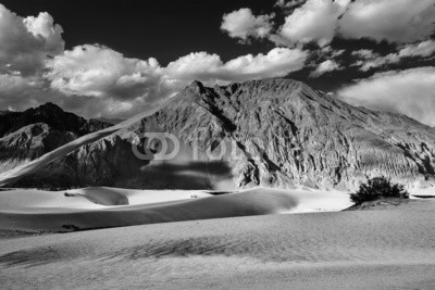 f9photos, Sand dunes. Nubra valley, Ladakh, India (schwarzweiß, himalaya, wüste, himalayan, sand, himalaya, indien, kaschmir, ladakh, düne, düne, indianer, landschaft, berg, berg, gebirgskette, berg, skala, szenerie, val)
