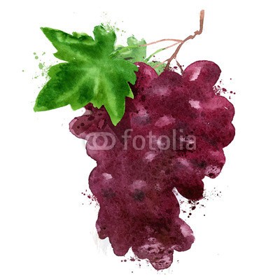 ~ Bitter ~, red grapes vector logo design template. wine making or Vineyard (rot, weintraube, vektor, firmenlogo, entwerfen, vorlage, wein, herstellung, weinberge, icon, weinbereitung, wasserfarben, kunst, herbst, bündel, farbe, dekoration, köstlich, nachspeise, essen, elemente, essen, frische, obst, voll, grunge, gesun)