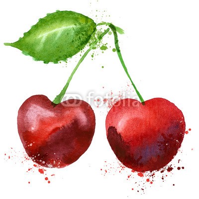 ~ Bitter ~, Cherry vector logo design template. fruit or food icon. (kirsche, vektor, firmenlogo, entwerfen, vorlage, obst, essen, icon, wasserfarben, sketch, close-up, isoliert, vegetarisch, reif, beere, vegan, köstlich, weiß, frühling, süss, rot, organisch, sommer, foodie, jahreszeit, abbildung, objekt, bemalt, lecke)