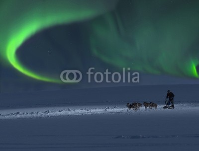 Blickfang, Hundeschlitten mit Nordlicht (husky, hund, hund, hund, rasse, geschirr, räder, schnee, sport, rasen, wettrennen, biest, kalt, horizontale, person, nordlicht, nordlicht, nordlicht, nordpol, skandinavien, finnland, schweden, norge, spitzbergen, island, winte)