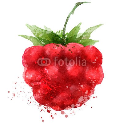~ Bitter ~, Berry vector logo design template. Raspberry or food icon. (beere, vektor, firmenlogo, entwerfen, vorlage, himbeeren, essen, icon, wasserfarben, isoliert, reif, klar, natürlich, grün, nachspeise, weiß, frühling, süss, rot, diät, organisch, trinken, zeichen, life, leaf, hell, symbol, sommer, grafik, gemüs)