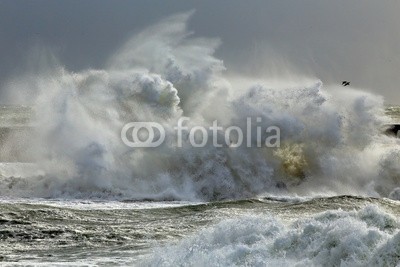 Zacarias da Mata, Big wave (stürmisch, welle, groß, pfeiler, ozean, sturm, meer, portugal, weiß, wetter, wasser, wind, orkan, küste, strom, wirbelsturm, energie, gefahr, schwer, seelandschaft, dramatisch, welle, leuchtturm, licht, dunkel, huge, porto, tage, natur, kräfte, farb)