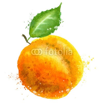 ~ Bitter ~, Apricot vector logo design template. Peach or fruit icon. (apricots, vektor, firmenlogo, entwerfen, vorlage, pfirsich, obst, icon, wasserfarben, close-up, isoliert, reif, natürlich, köstlich, nachspeise, weiß, herbst, süss, diät, organisch, leaf, sommer, zeichnung, abbildung, lecker, gesund, textur, vitamin)