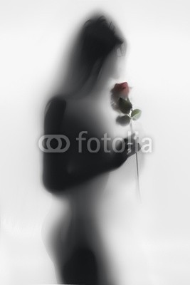 Кирилл Рыжов, Black and white silhouette of sexy woman smelling rose (erwachsen, rücken, schönheit, schwarz, verwischen, körper, bottom, brust, arsch, bw, close-up, deckung, dunkel, erotisch, ausdruck, weiblich, figuren, montieren, blume, mädchen, hand, isoliert, frau, mager, beine, licht, modellieren, monochrom, morgen)