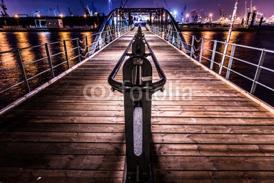 niemannfrank, Brücke Fähranleger (hamburg, fischmarkt, brücke, brücke, boot, investor, halle, elba, wasser, flux, stern, licht, nacht, himmel, sehenswürdigkeit, gebäude, haus, zeigen, museu)