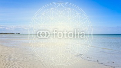 reichdernatur, blume des lebens - strand (esoterik, spiritualität, glaube, ganzheitlich, kosmisch, energie, symbol, symbol, reiki, heilung, positive, wahrsagen, licht, klarheit, reinigung, seele, bewusstsein, matrix, üben, heilpraktiker, heilendekraft, engel, spiritual, geist, energie, auftanke)